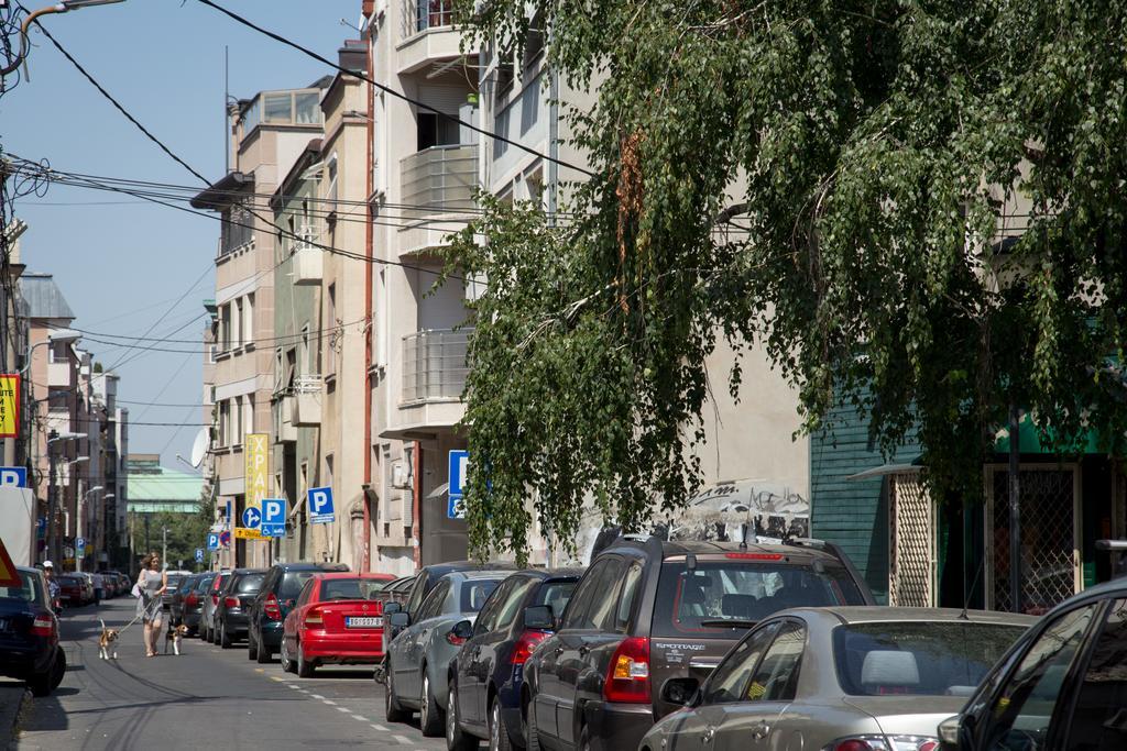 Studio Vracar Belgrad Dış mekan fotoğraf